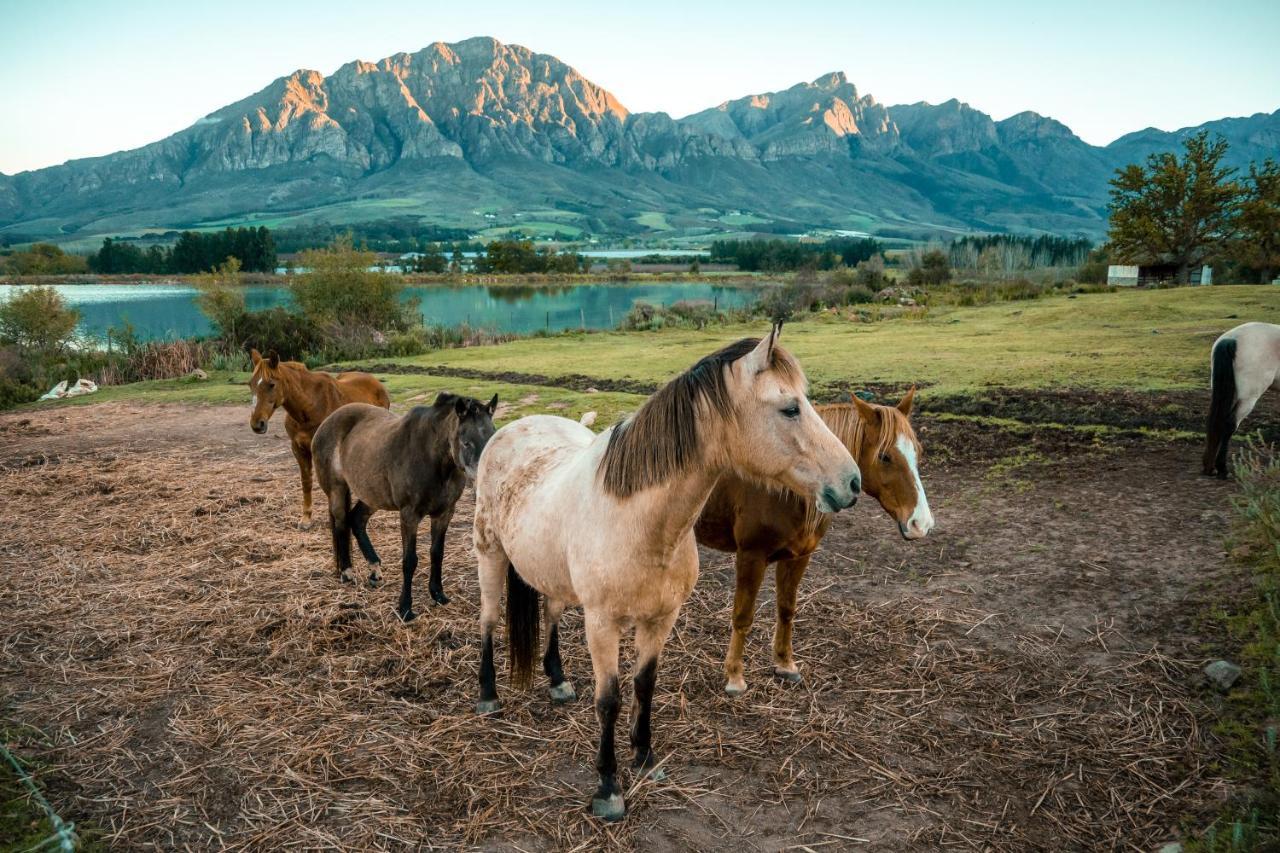Tulbagh Boutique Heritage Hotel Exterior photo